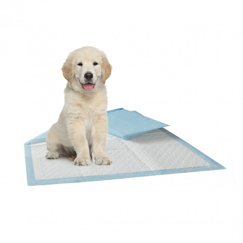 Tapis d'éducation 60 x 60 cm en boîte distributrice x 30 pcs